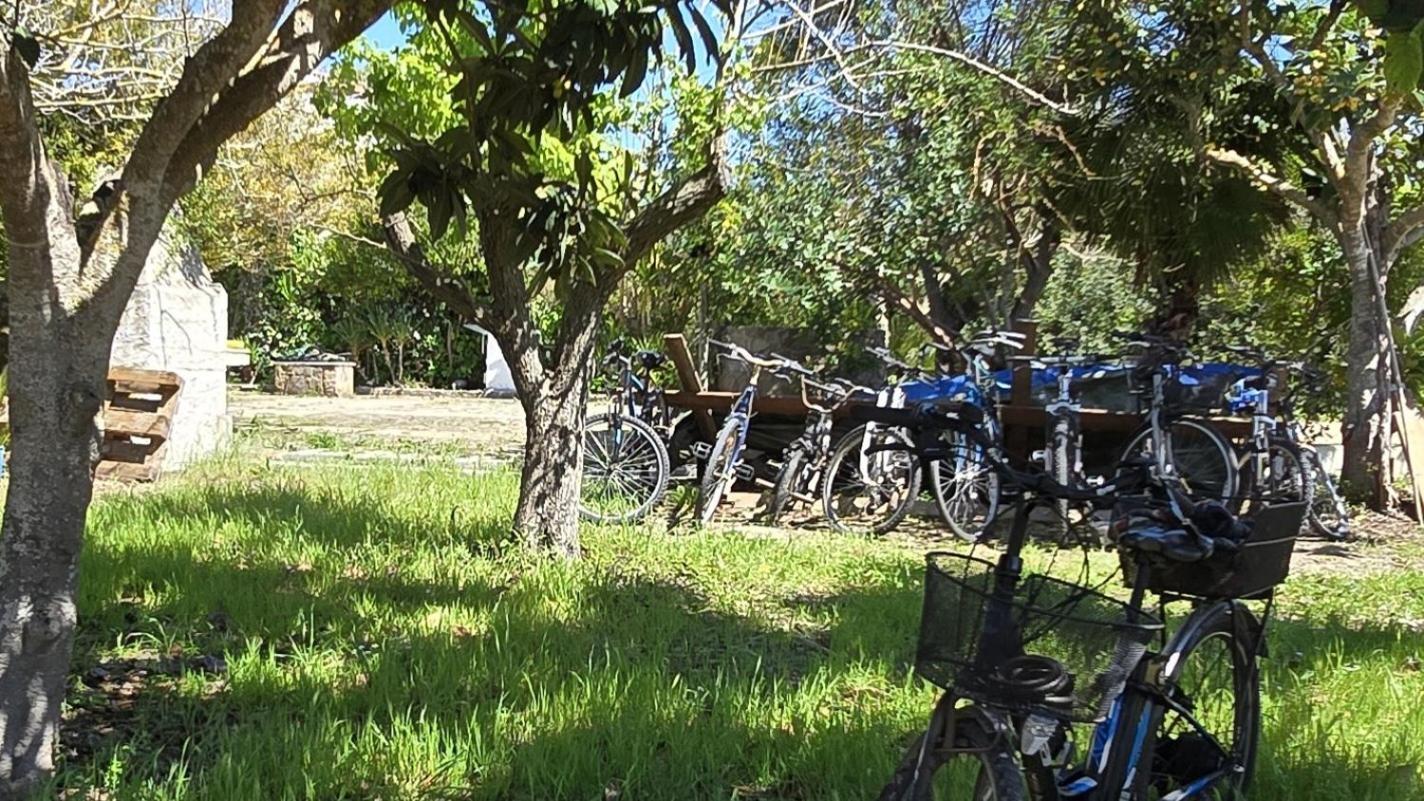 Alghero In Bicicletta Екстериор снимка